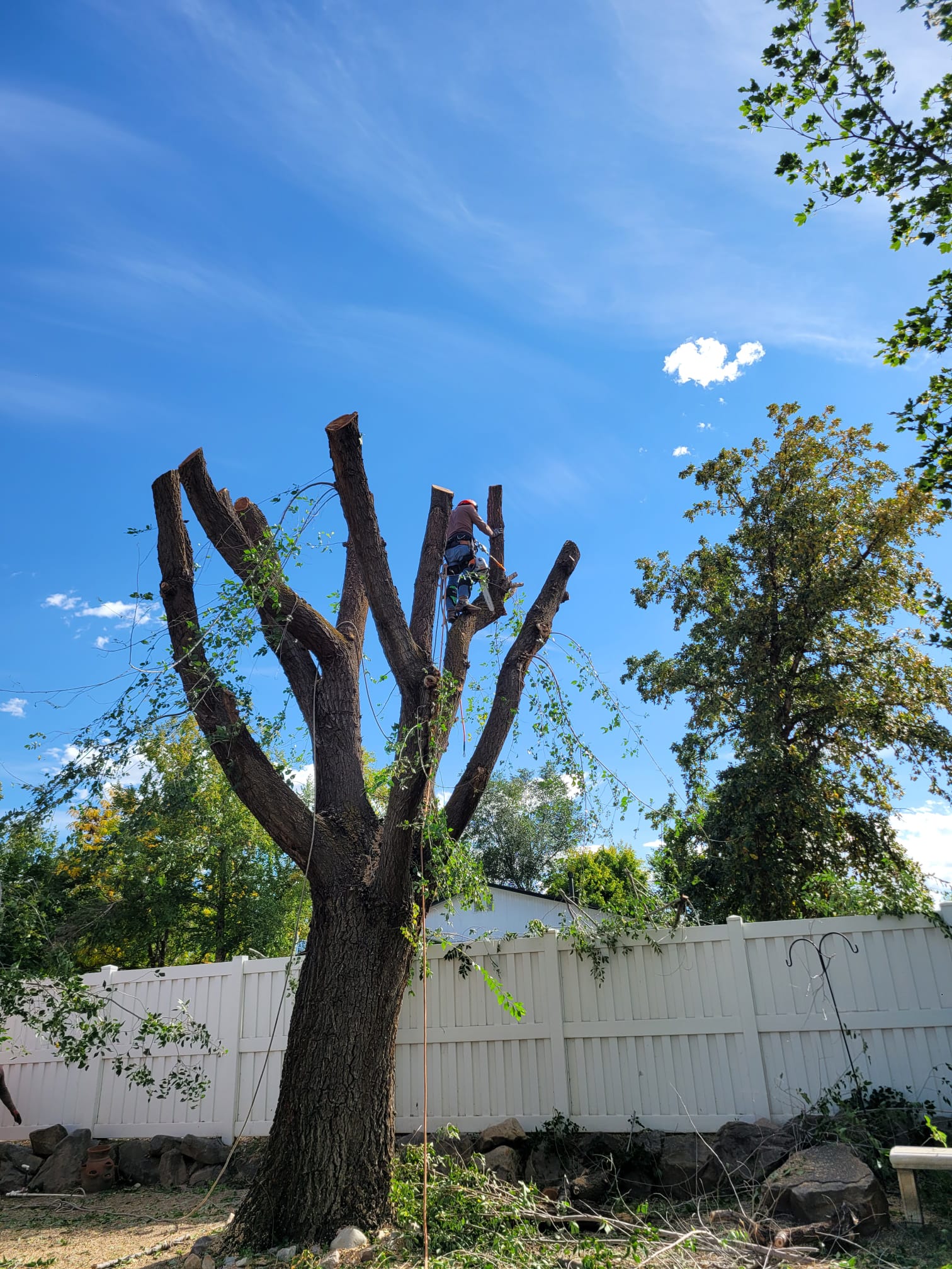 WhatsApp Image 2024-02-13 at 11.11.36 AM (2)