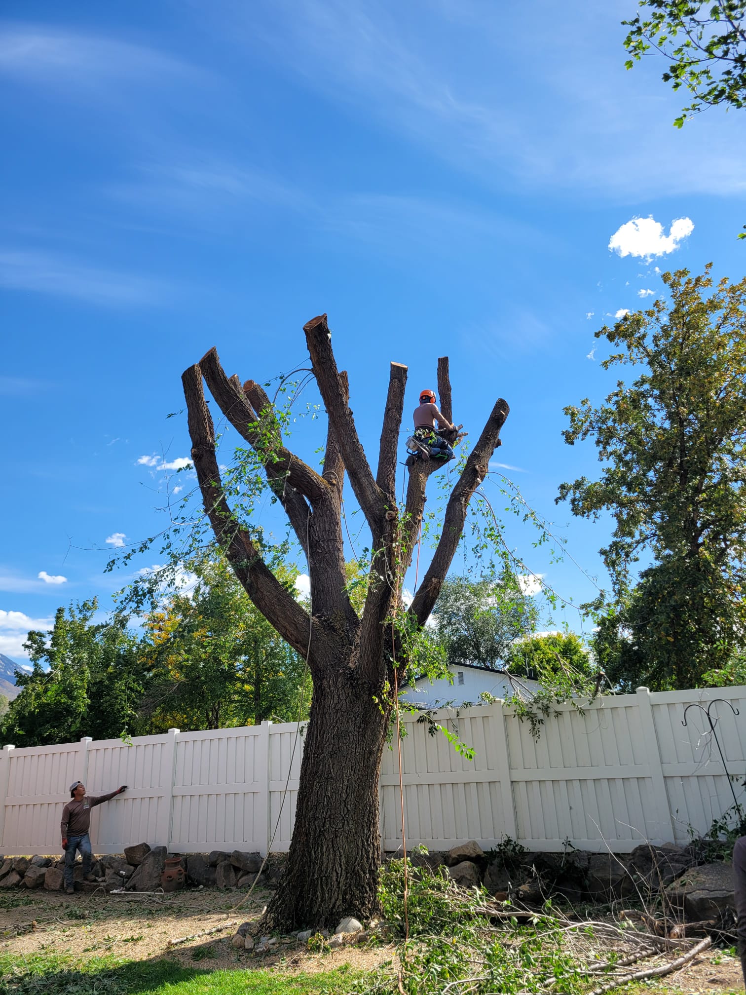 WhatsApp Image 2024-02-13 at 11.11.36 AM (4)