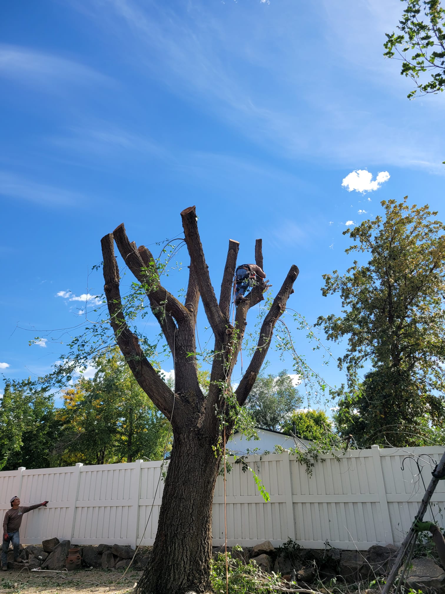 WhatsApp Image 2024-02-13 at 11.11.36 AM (5)