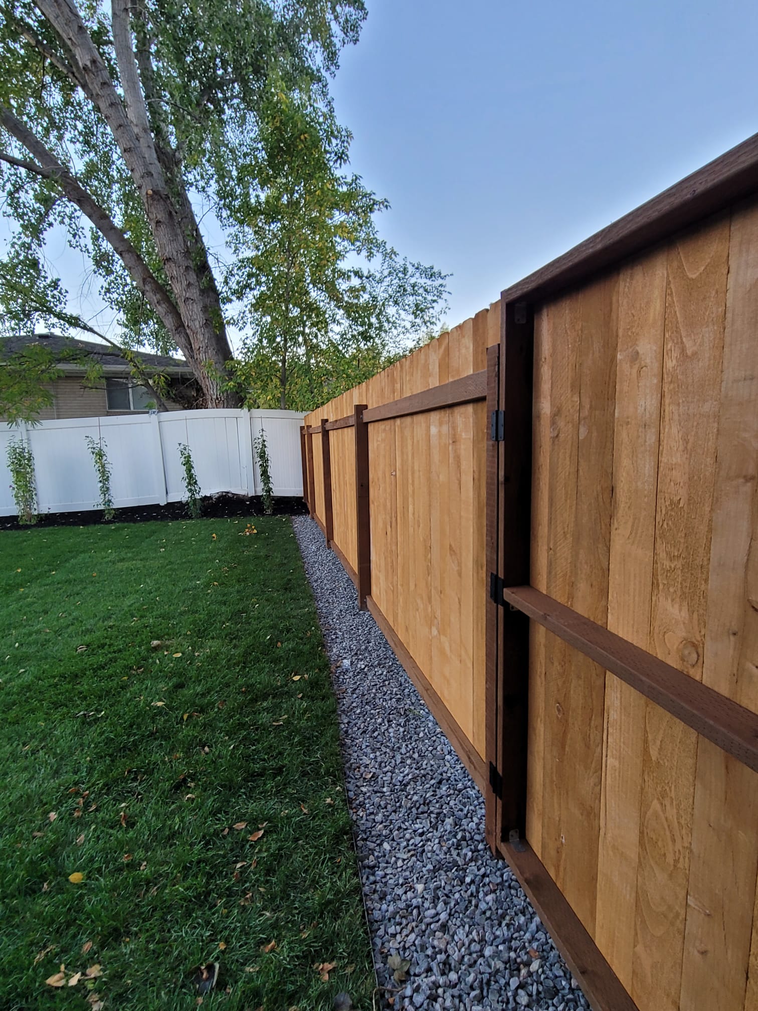 WhatsApp Image 2024-02-13 at 11.11.36 AM (6)