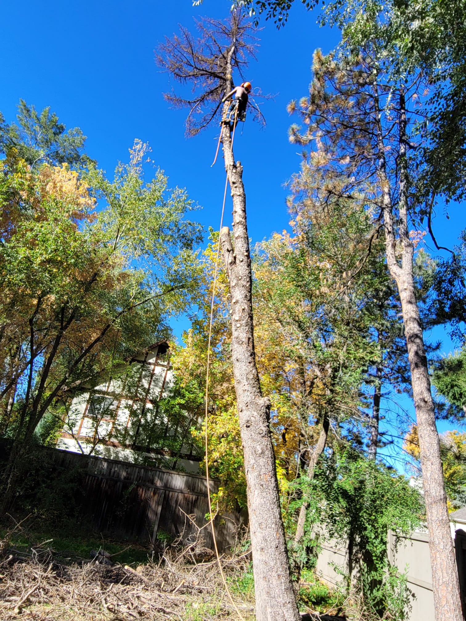 WhatsApp Image 2024-02-13 at 11.11.36 AM