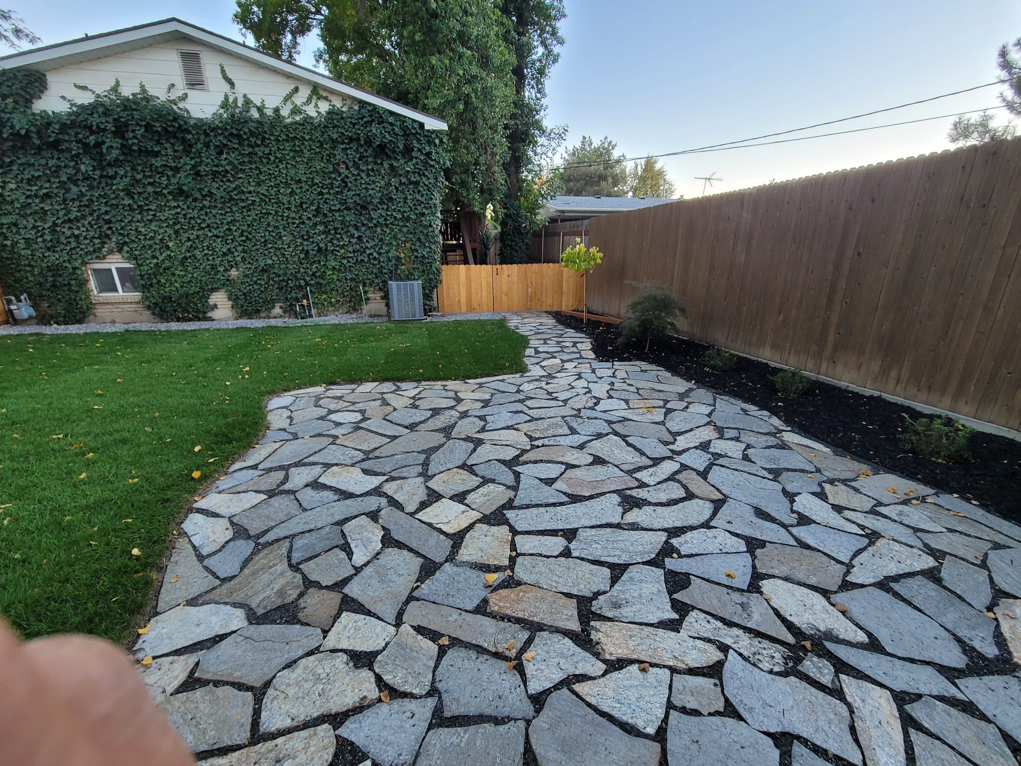 WhatsApp Image 2024-02-13 at 11.11.37 AM (1)