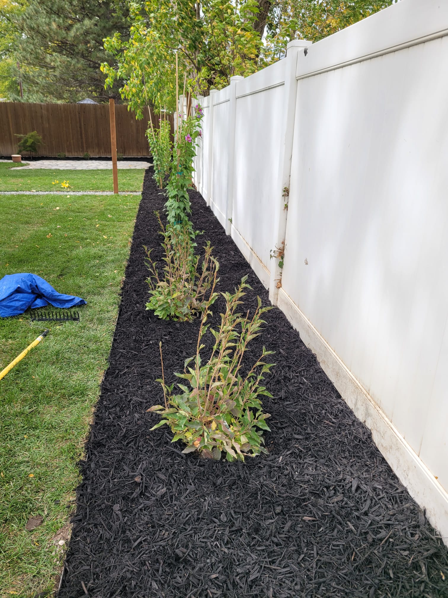 WhatsApp Image 2024-02-13 at 11.11.37 AM (5)