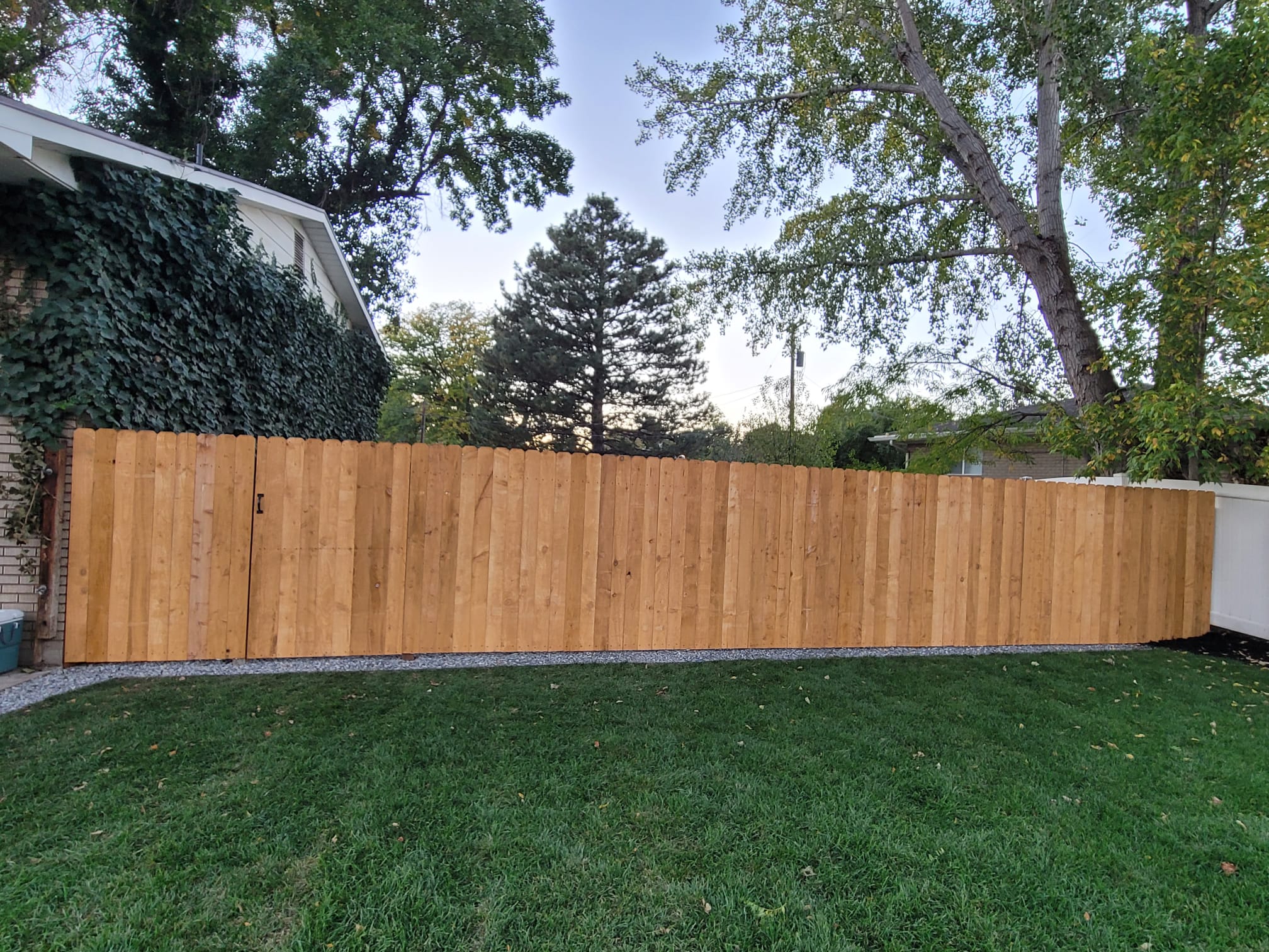 WhatsApp Image 2024-02-13 at 11.11.37 AM