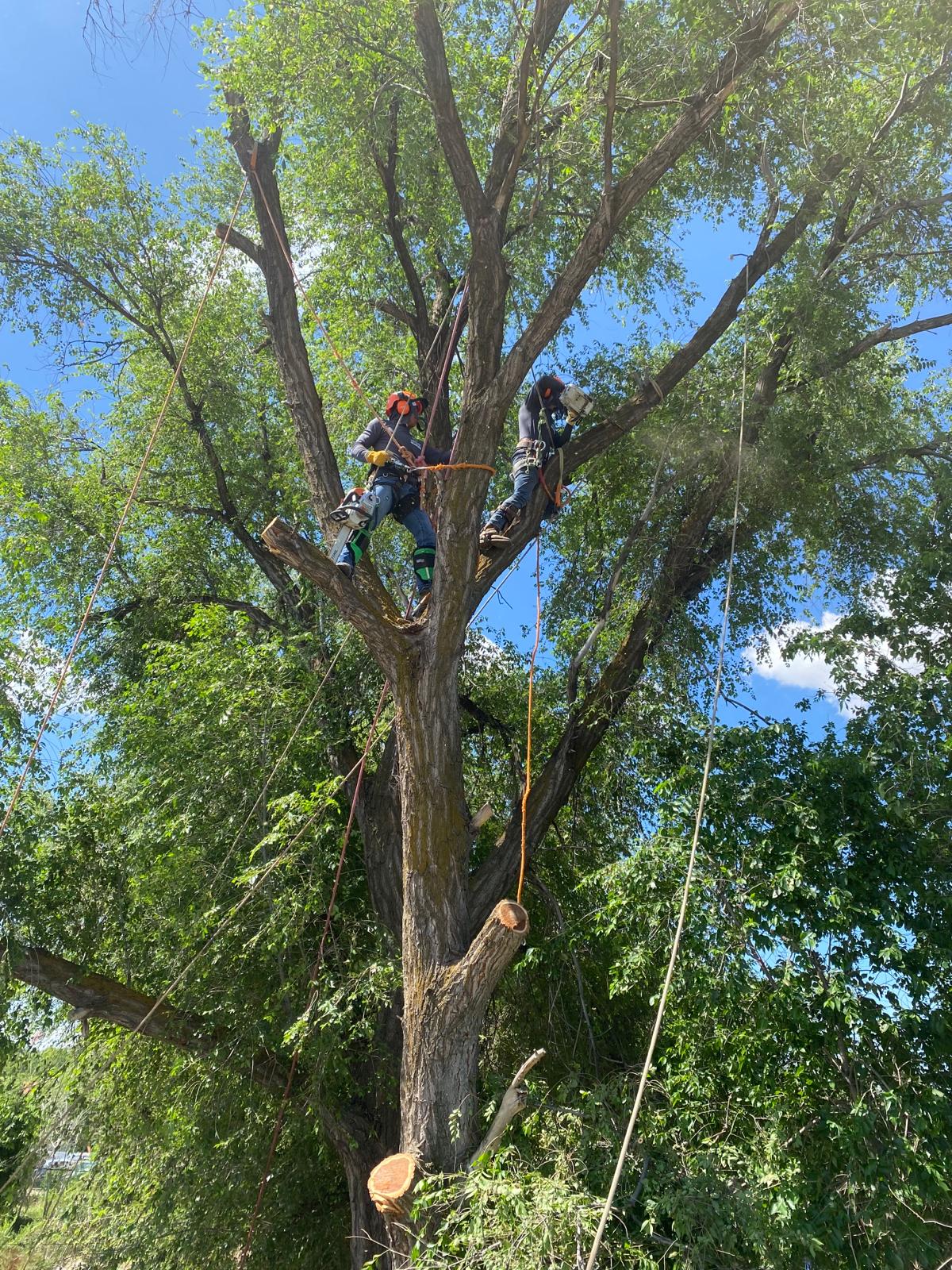 WhatsApp Image 2024-02-13 at 11.11.39 AM (3)