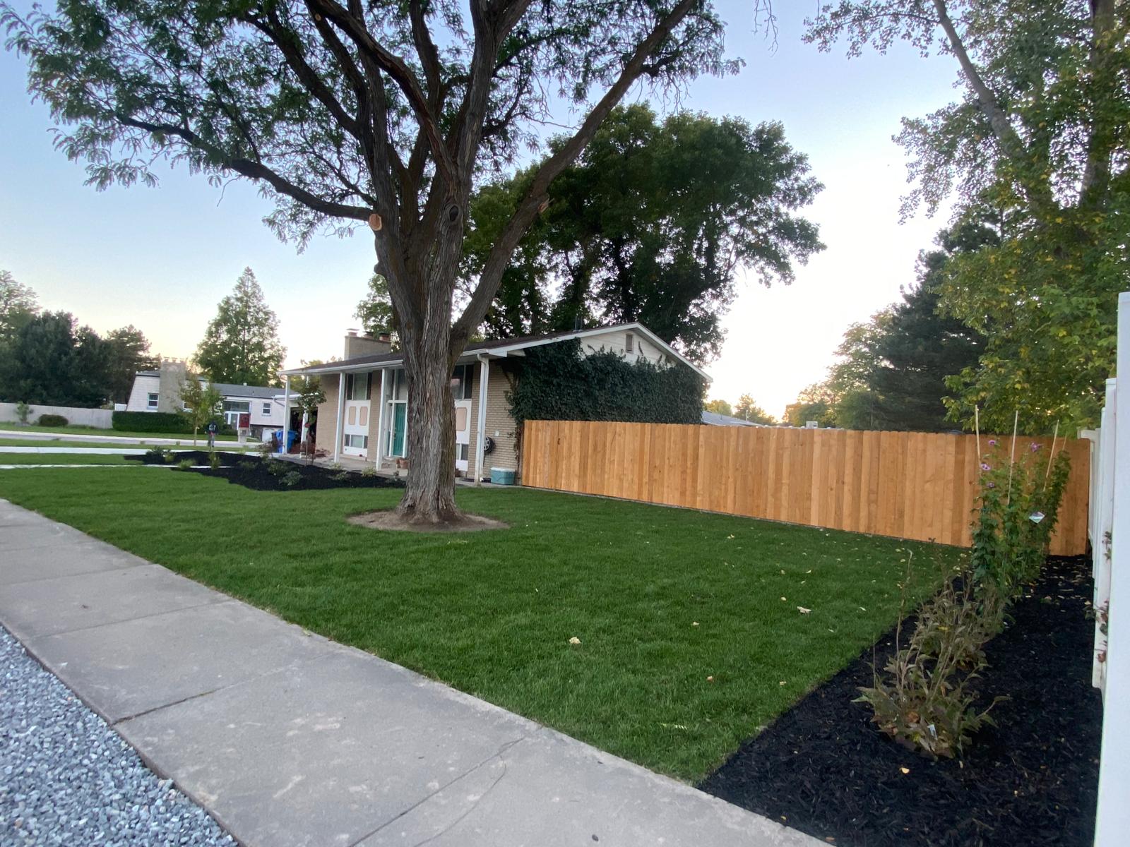 WhatsApp Image 2024-02-13 at 11.11.39 AM (4)