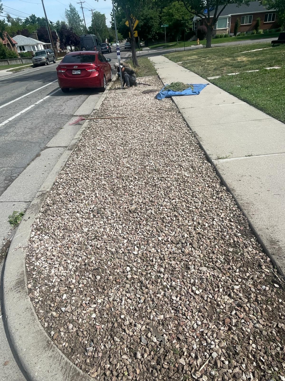 WhatsApp Image 2024-02-15 at 12.49.20 PM (1)