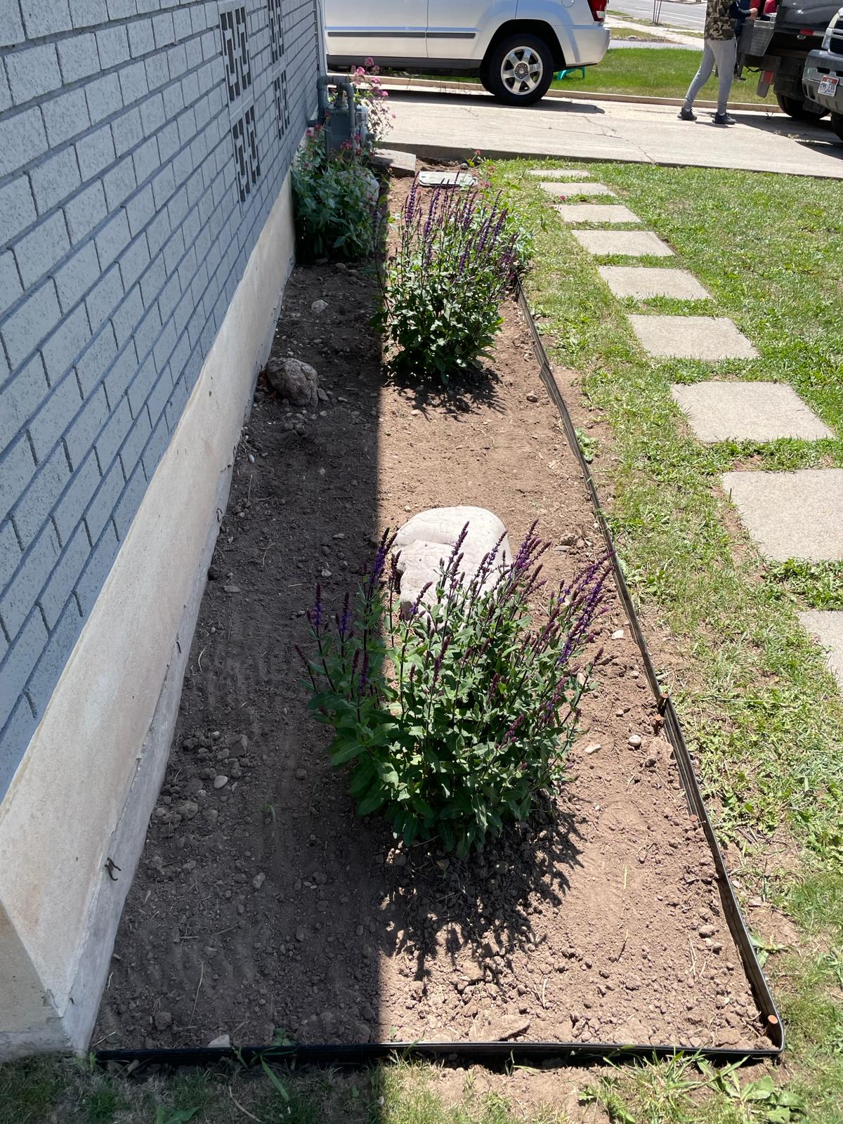 WhatsApp Image 2024-02-15 at 12.49.21 PM (1)