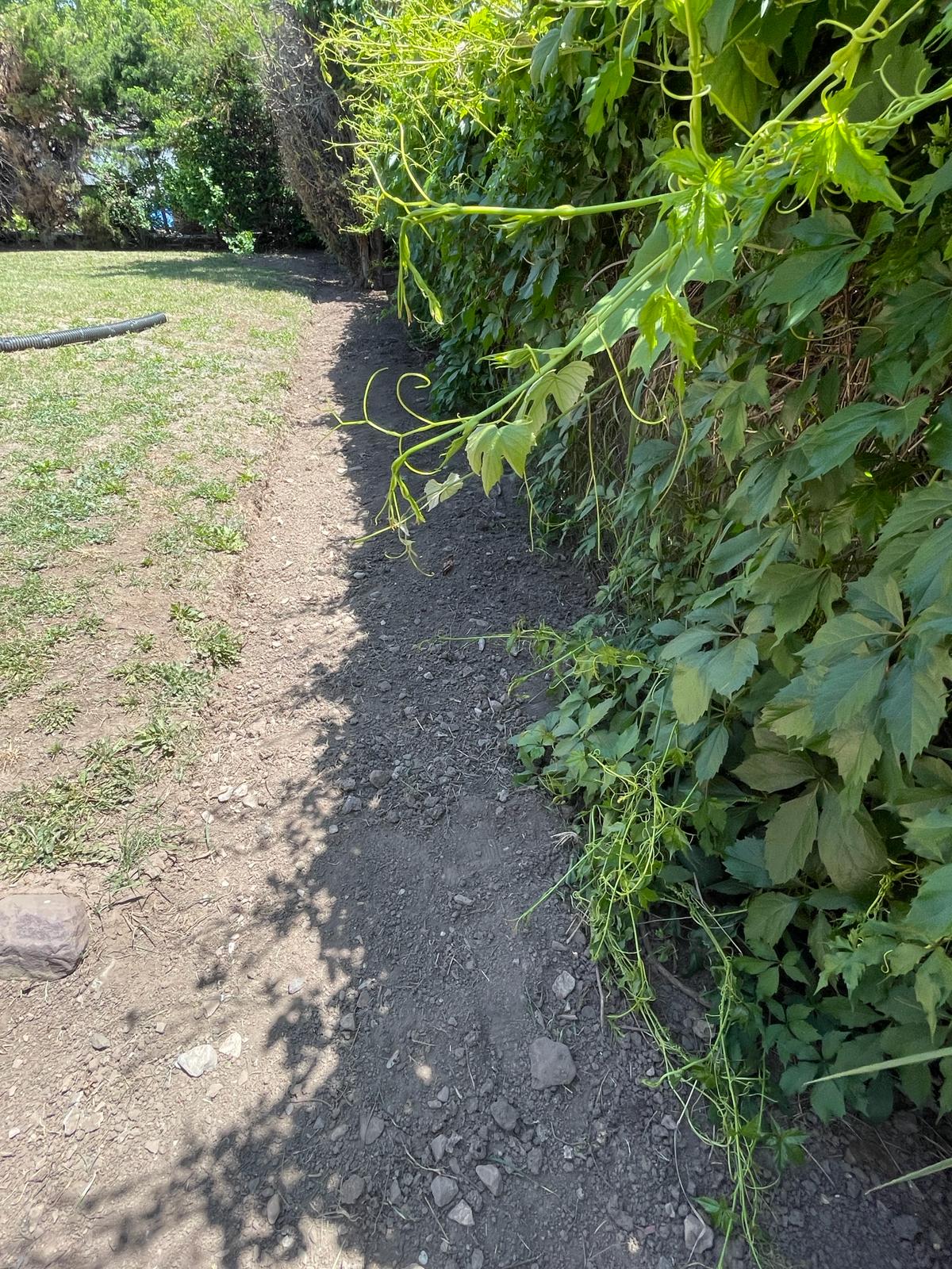 WhatsApp Image 2024-02-15 at 12.49.21 PM (3)